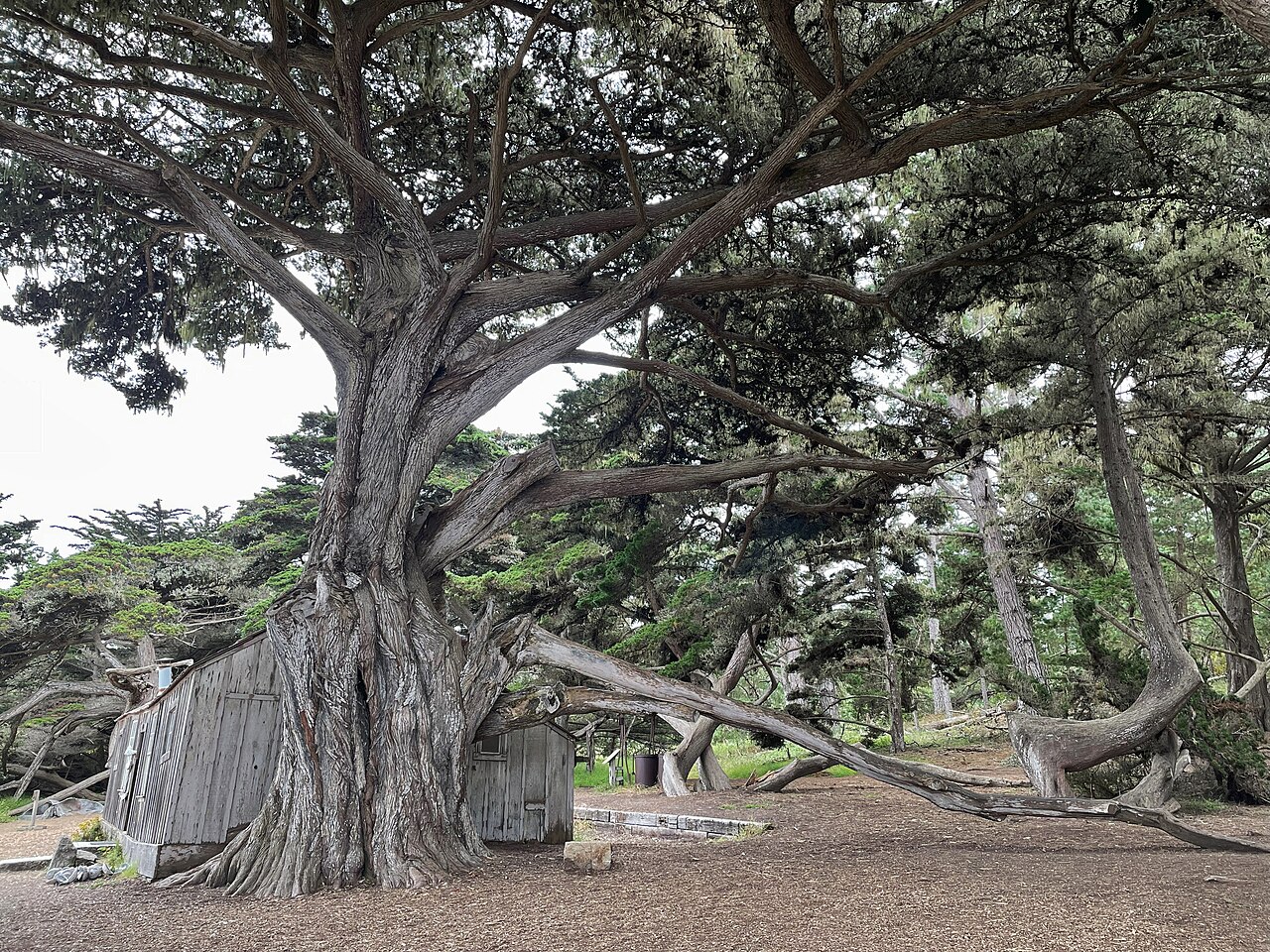 Point Lobos State Natural Reserve